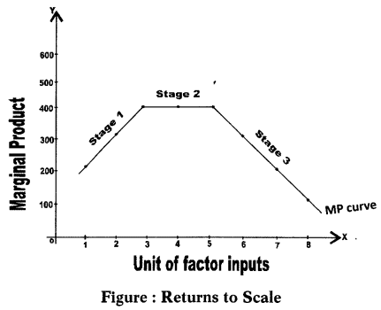 Law of returns to the scale