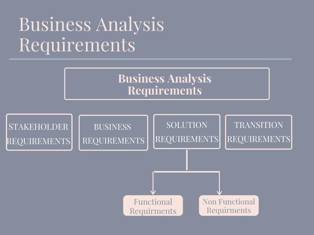 Business Analysis Requirements