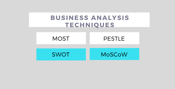 Business Analysis Techniques