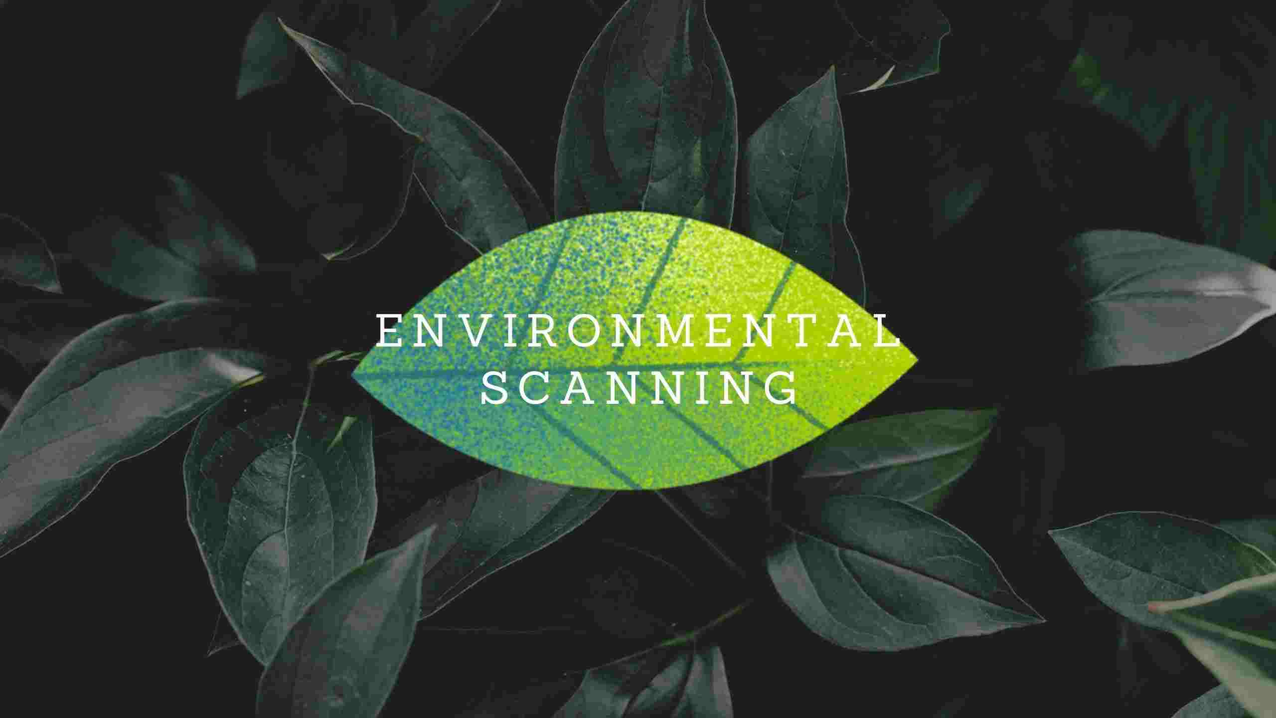 Environmental Scanning in Strategic Management