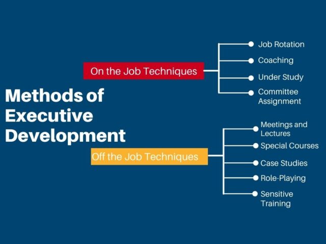 Methods of Executive Development