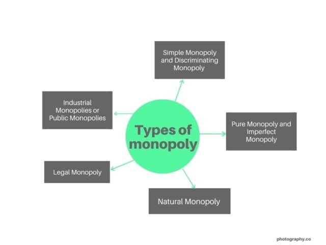 Types of monopoly meaning in economics
