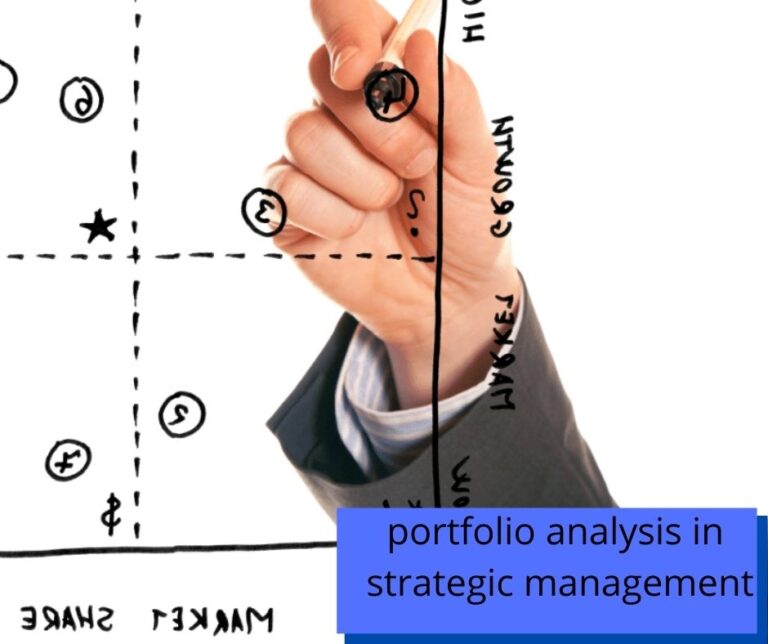 portfolio analysis in strategic management