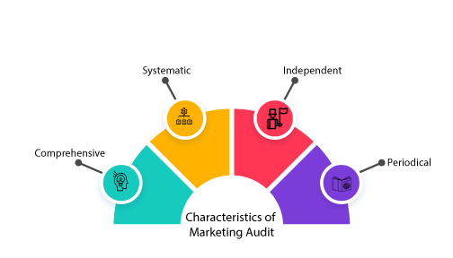 Characteristics of Marketing Audit