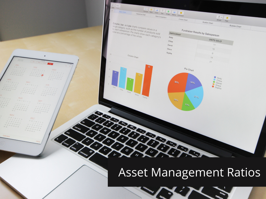 Asset Management Ratios